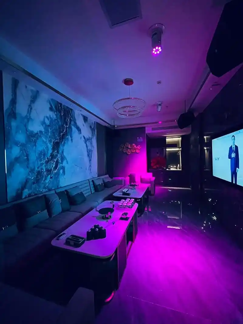 合肥商务ktv，商务ktv是什么意思-巢湖市ktv预订